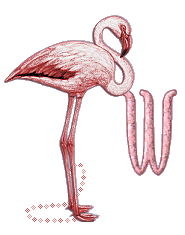 Ani_Flamingo_Alpha_by_iRiS_-_W_1