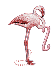 Ani_Flamingo_Alpha_by_iRiS_-_Z_1