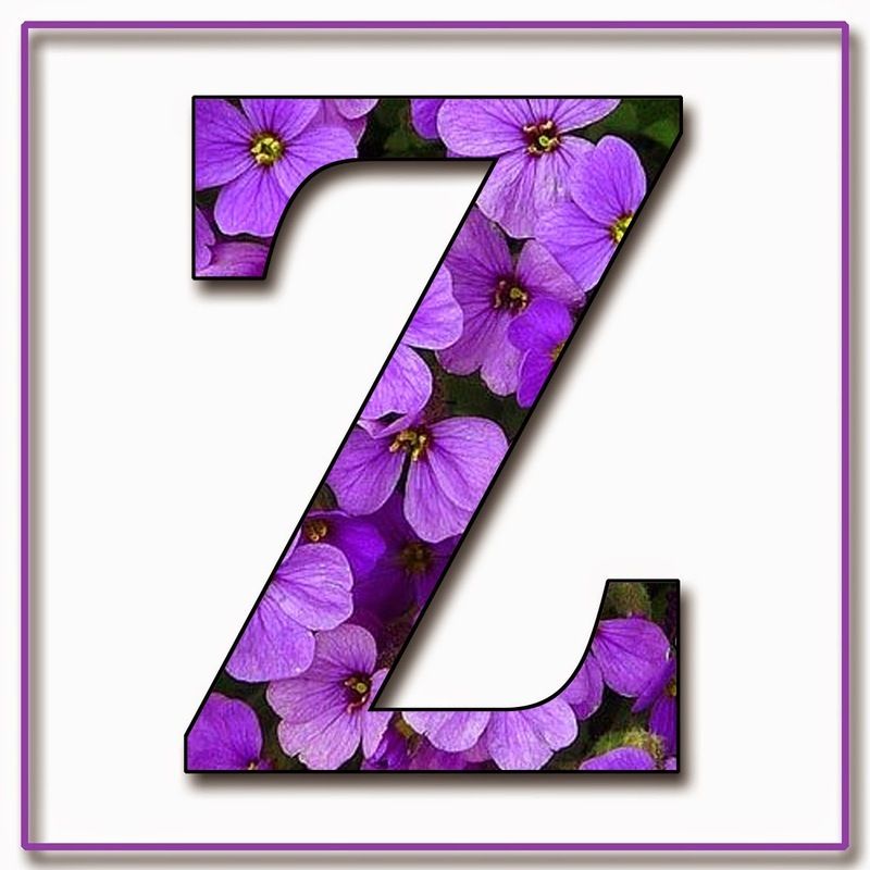 ALPHABET FLEURI 24-10-2014