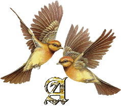 OISEAUX-1_2.gif