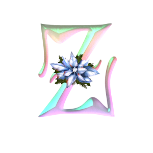 Winter-Christmas-Z-300x300.png
