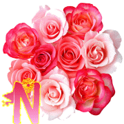 opt1313139490s.gif