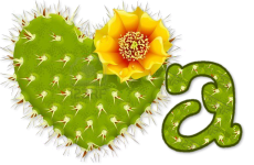 wd_cactus_heard_with_yellow_flower_a_2