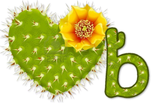 wd_cactus_heard_with_yellow_flower_b_2