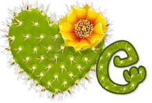 wd_cactus_heard_with_yellow_flower_e_2
