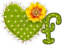 wd_cactus_heard_with_yellow_flower_f_2