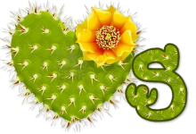 wd_cactus_heard_with_yellow_flower_s_2
